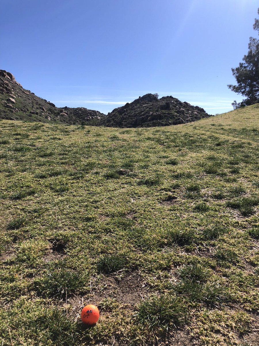 AlohaStyleMike's tweet photo. It’s been a while … looking for the pin with @Golfdotz and @CUTgolfco at scenic @ranchodelsol_gc https://t.co/kvCqh82tgV