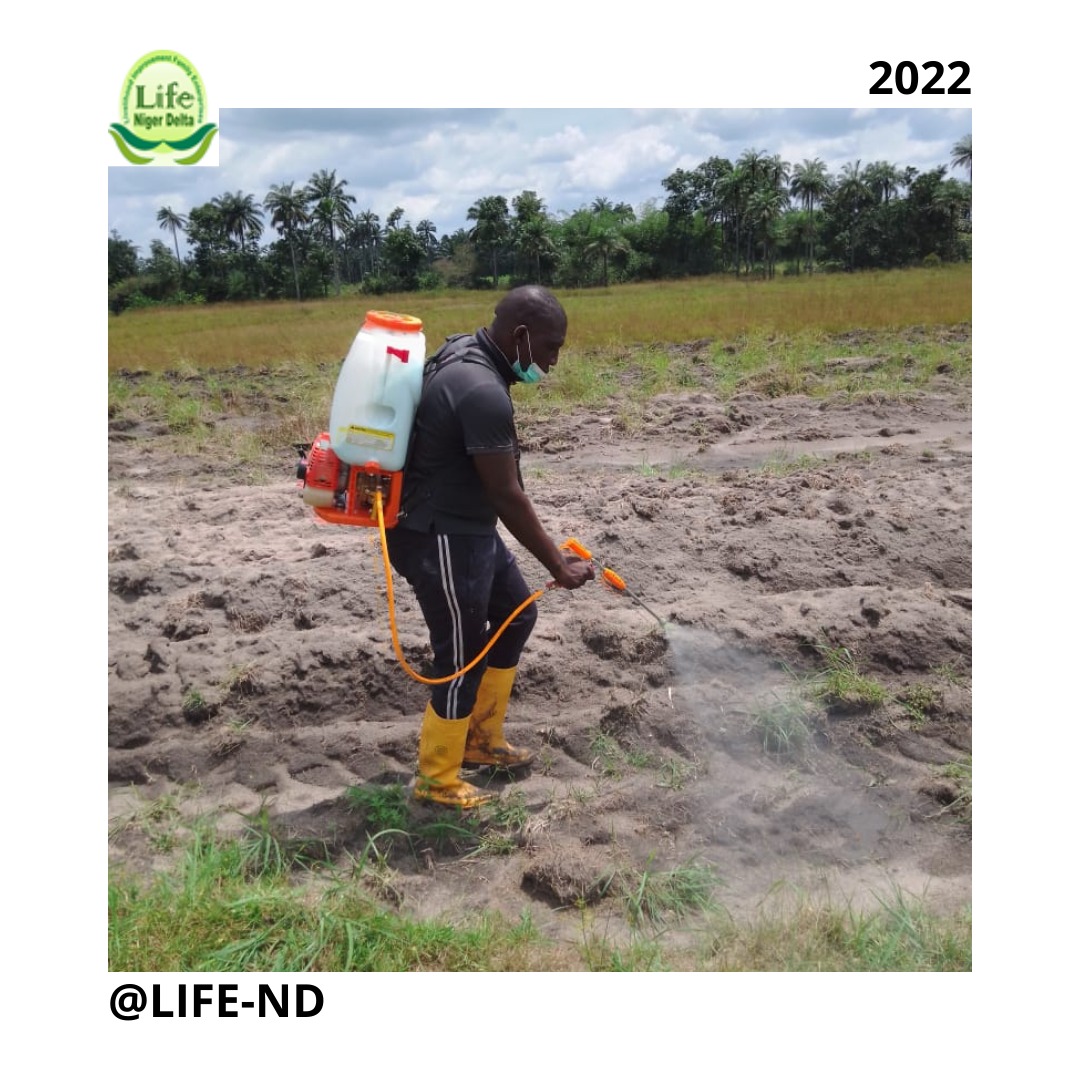 Life_ND_9's tweet photo. As farmers it's very important that you have an effective irrigation process that's why at LIFE-ND incubatees are trained on how to irrigate their farmers using the drip irrigation process.
#lifend #youthempowerment #NigerDelta #IFAD #irrigation #sustainablefarming https://t.co/VHUju6oeXF