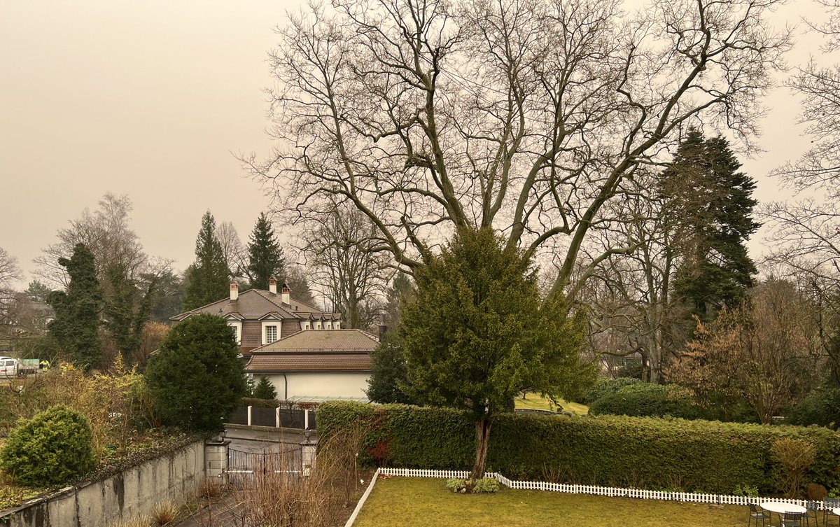 AmbSanjay_'s tweet photo. #Sahara sands over #Switzerland turn the sky orange
Sand particles travel from Western Sahara across the Mediterranean, at altitude of 2-4km bringing warm weather and showers in spring and autumn
It was called #Khamseen in #Egypt, here it’s known as #Foehn https://t.co/DwC92HpPFG