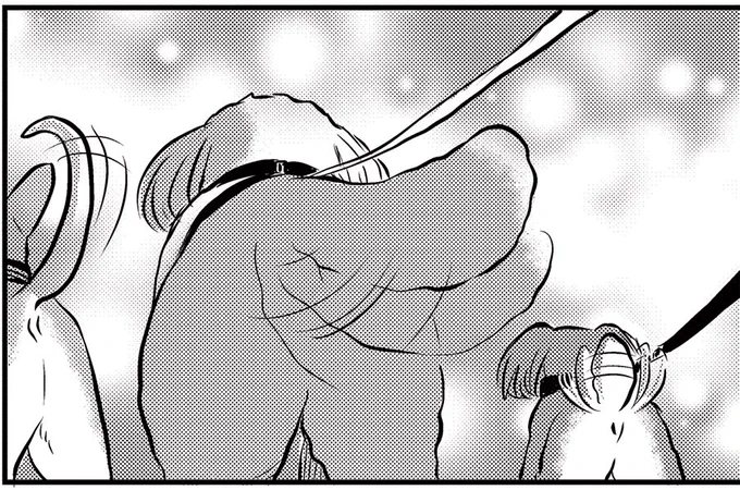/
明日は✨金曜日✨
#DOGSIGNAL 最新話の更新日です🐶
\

リボンちゃんのエピソードの続きが更新されます☀️
お友達と一緒にハイキングに出かけたリボンちゃんですが…!?

恒例の先行チラ見せは担当お気に入りの1コマ。このおしり…たまらないと思いませんか…😍
お楽しみに🐾 
