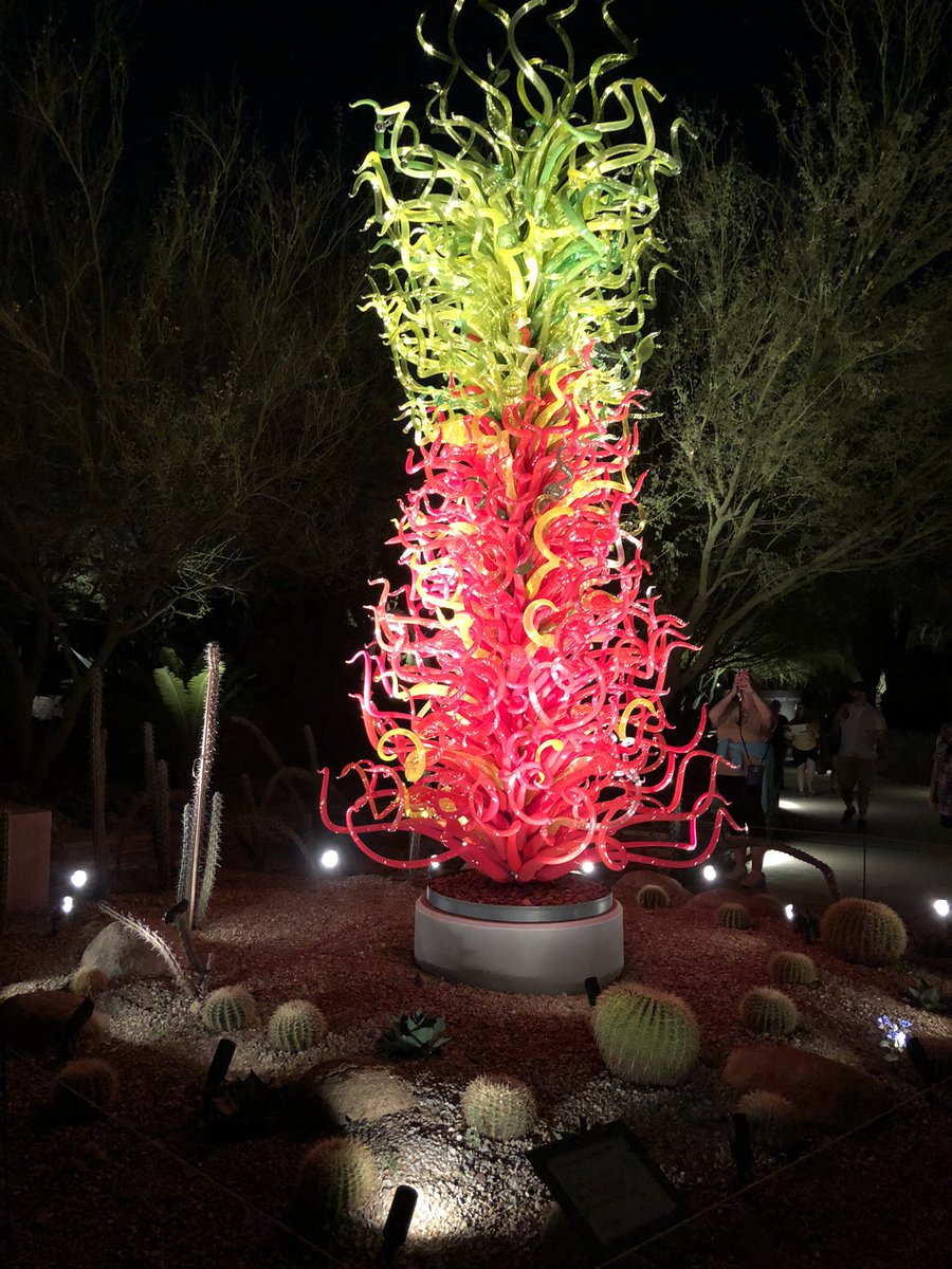 All smiles at the Botanical Gardens in Phoenix which are definitely worth seeing 😊🌵☀️