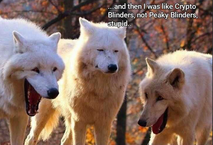 blindersnft's tweet photo. When a new member of the #Cryptoblinders read our #cnft beginners guide then invites his friend moments later, already feeling like a pro himself 🙂. #CardanoCommunity #CNFTs #cnftproject #CNFTCollector https://t.co/k4V2912Q1G