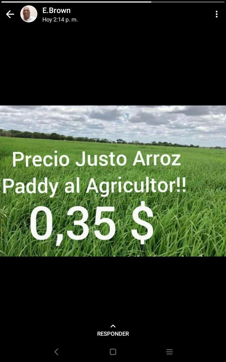 frailedemetrio's tweet photo. Los productores de arroz reclaman un incremento del precio del arroz paddy para la cosecha de verano. https://t.co/6f4vtcD7sj