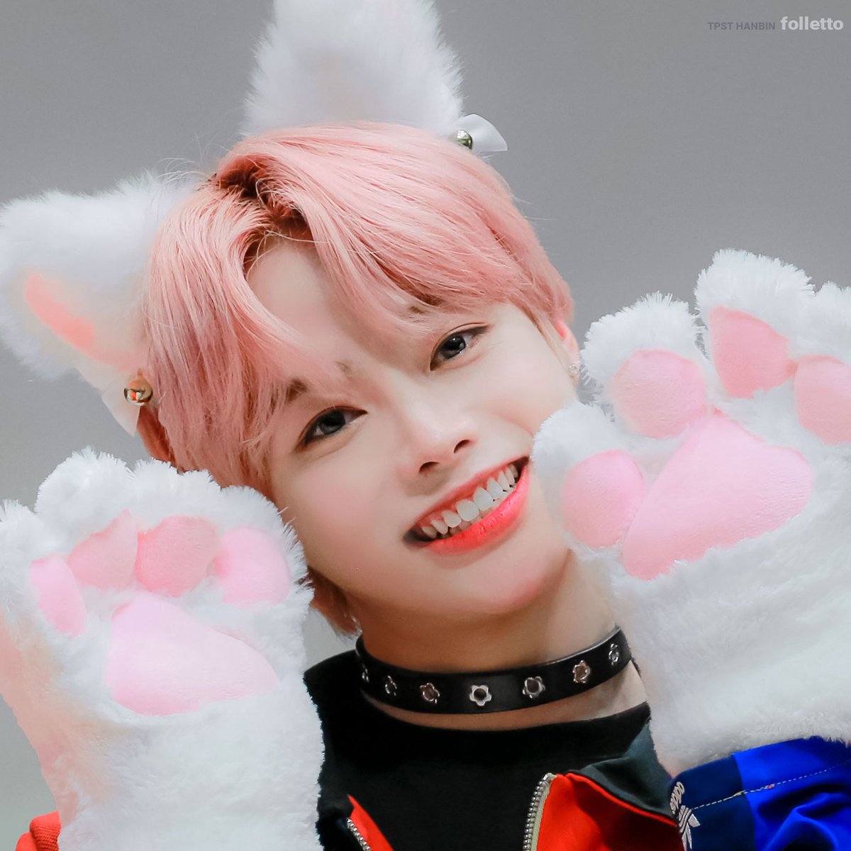 hnbnsource's tweet photo. cutest kitten :( #HANBIN #한빈 https://t.co/cX7OoSajCg