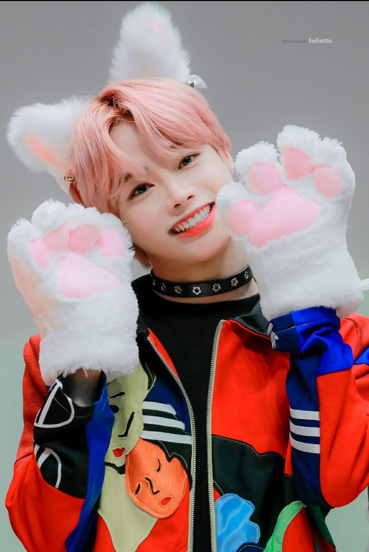 hnbnsource's tweet photo. cutest kitten :( #HANBIN #한빈 https://t.co/cX7OoSajCg
