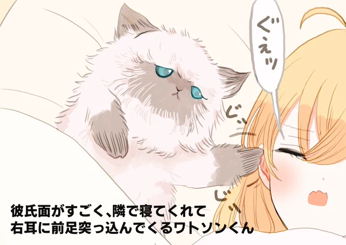 2枚ともリオン様のツイートより
#リオンあーと 