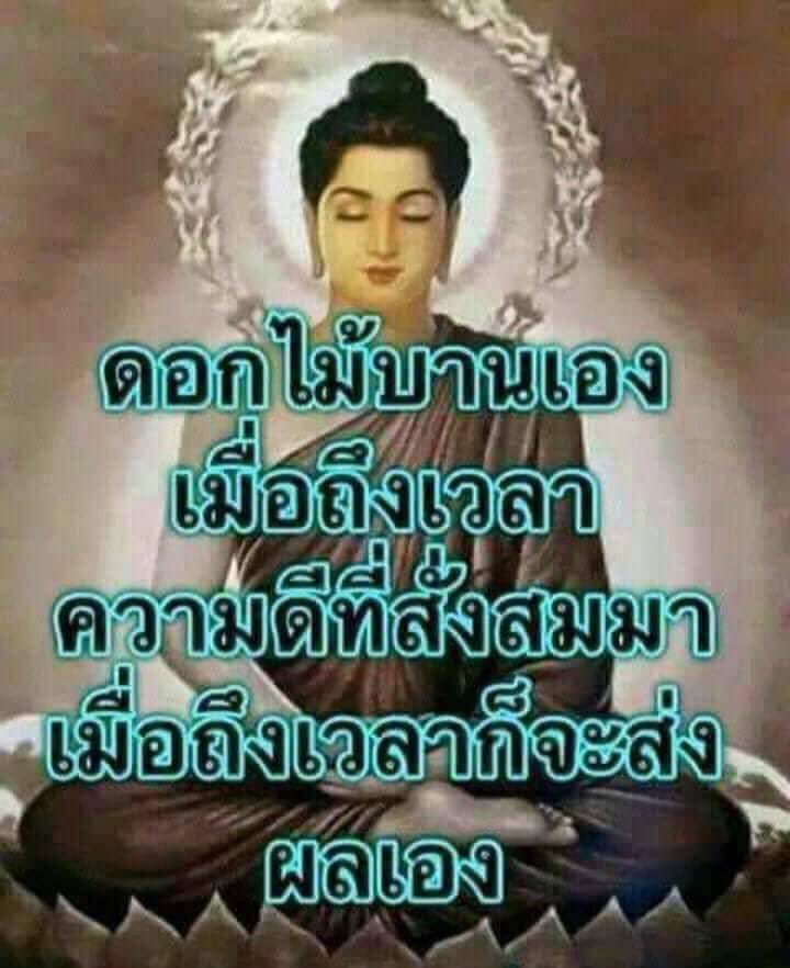 KhamkomDhamma's tweet photo. “ดอกไม้บานเองเมื่อถึงเวลา
ความดีที่สั่งสมมา เมื่อถึงเวลา
ก็จะส่งผลเอง อย่าได้ท้อถอย
ในการทำความดี” https://t.co/BR1zELKYGu