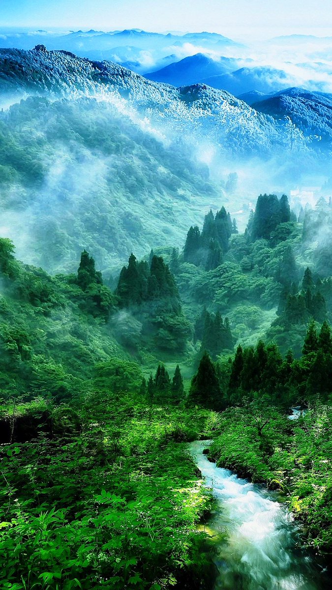 LoveSongs4Peace's tweet photo. " Hundred Shades Of Green ... " https://t.co/UylytTT4G6