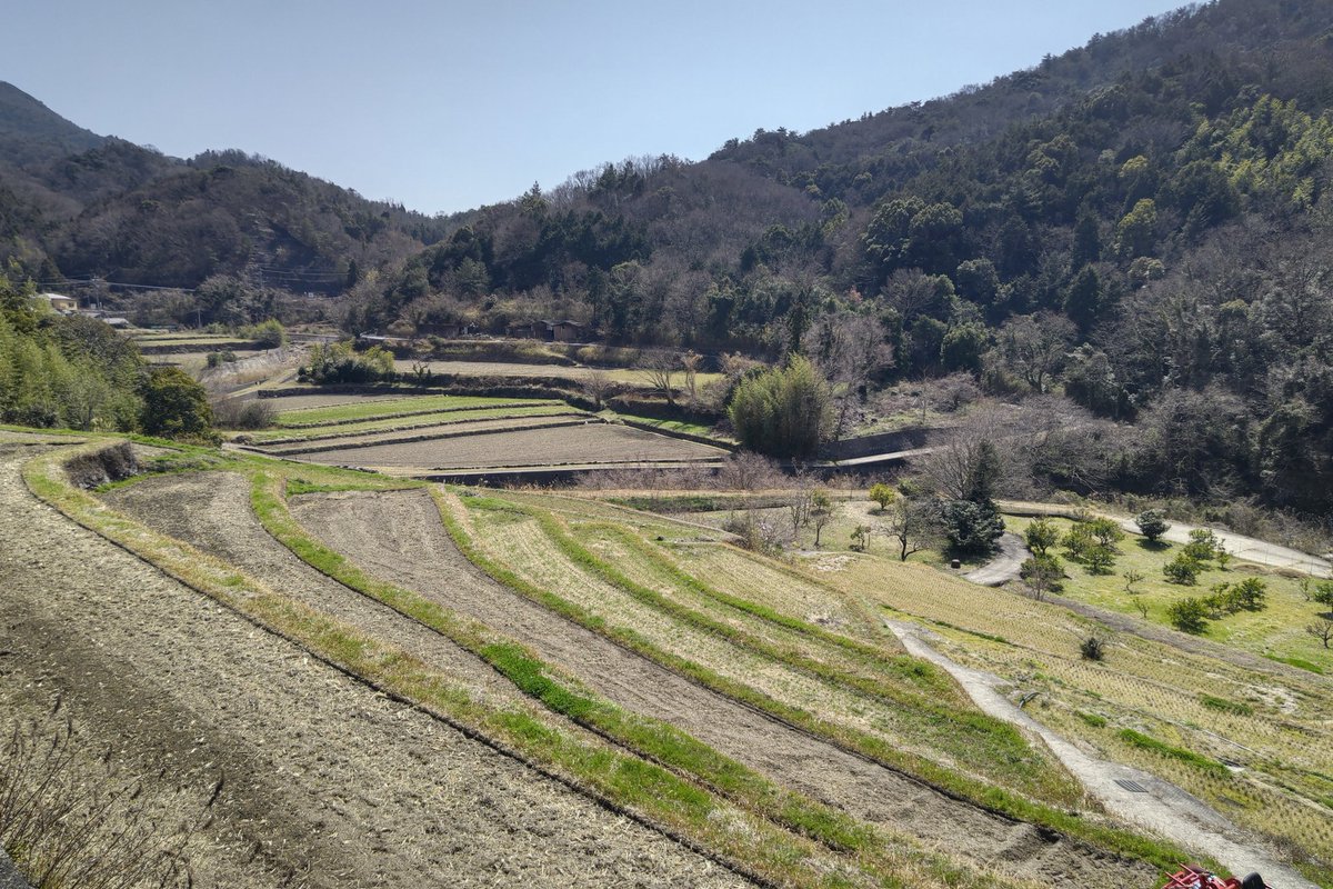 八日目の蝉 ロケ地 撮影秘話 最新情報まとめ みんなの評価 レビューが見れる ナウティスモーション