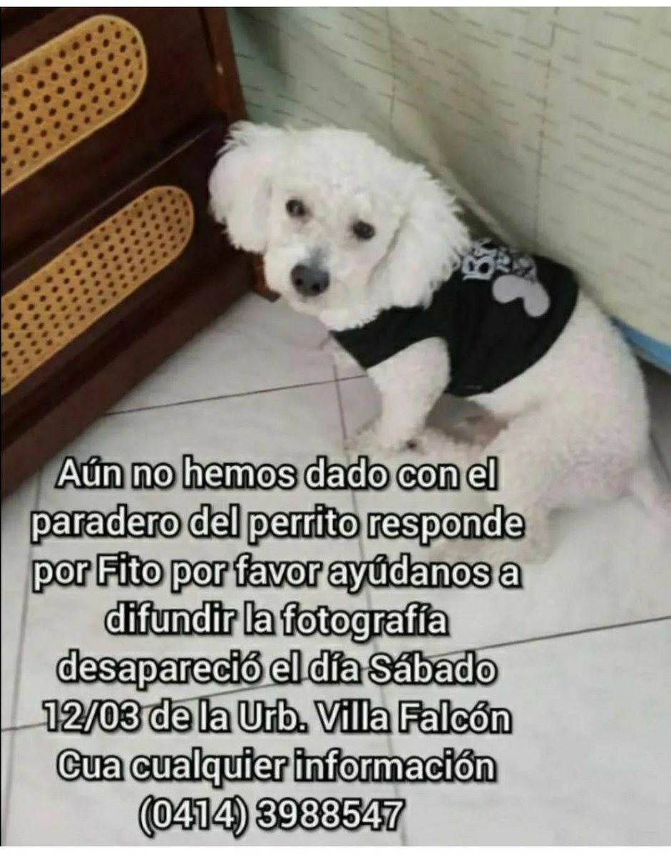 Su familia busca a Fito, Cúa