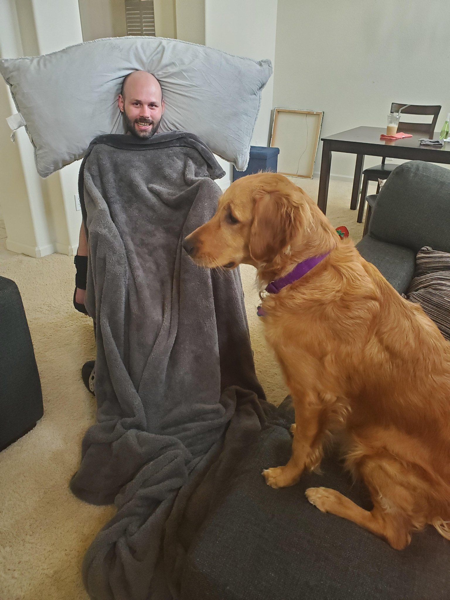 KapuLobo on Twitter "PuppersTV Too cute! Enjoy your comfy time, we'll