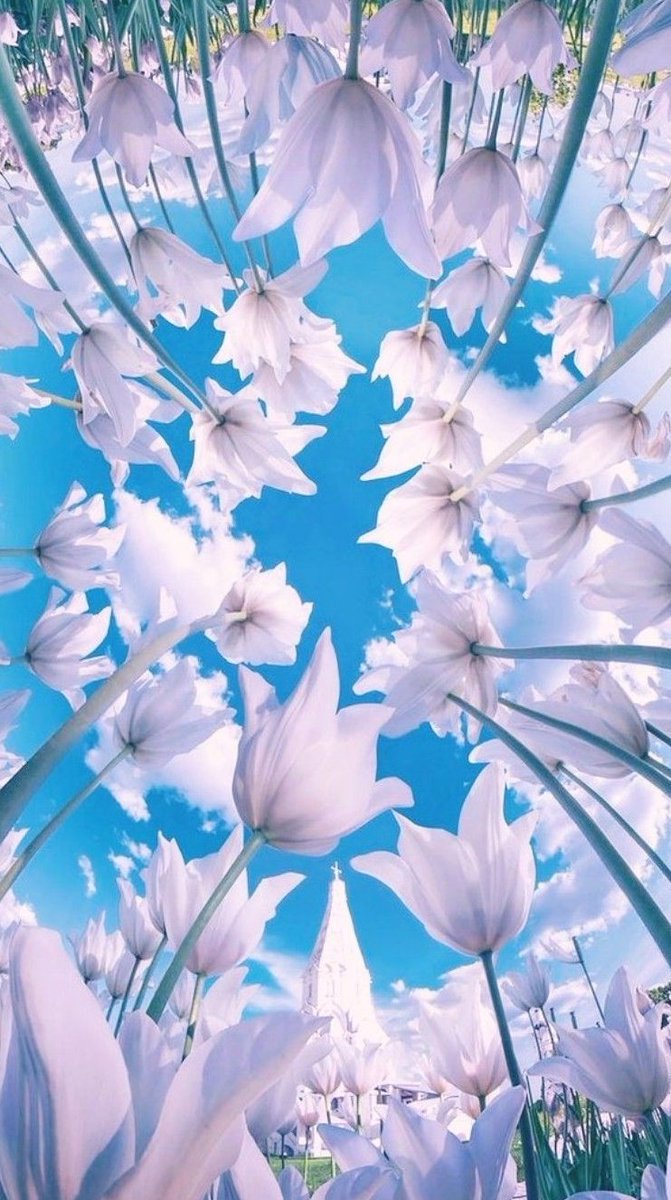 Whois_ImamMahdi's tweet photo. Good Morning 💕
#NatureBeauty #goodmorning https://t.co/QVIdXNAcHy