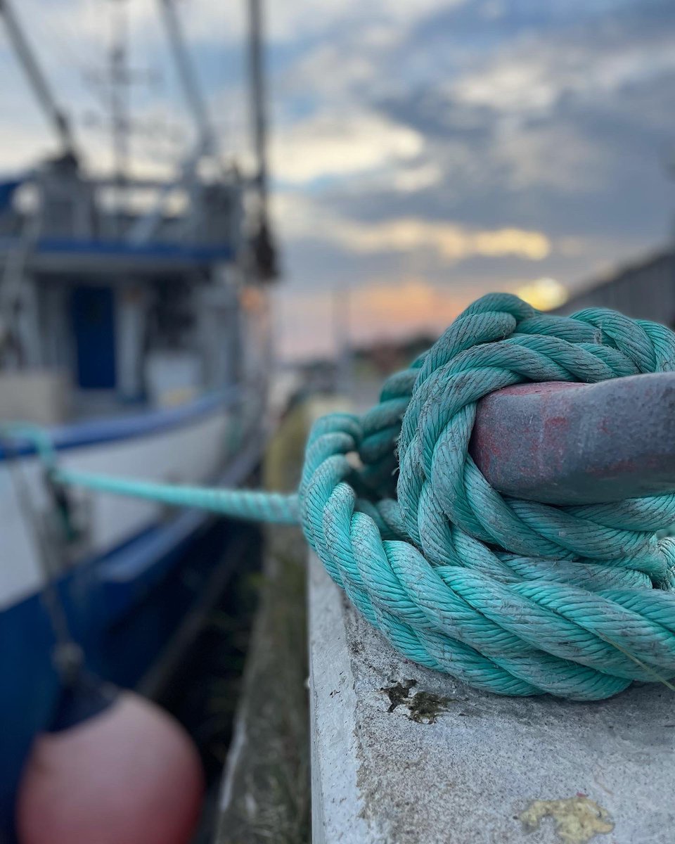 TheMattyBlake's tweet photo. I meant it when I said “I fell in love” in tonight’s episode.
I ❤️ #newfoundland & I’ll be back someday soon I hope!
Here’s some pics I grabbed from one of the greatest trips of my life.
#screechedin #aye #piratelife #pirate #beyondoakisland https://t.co/g9VNYKnV2S