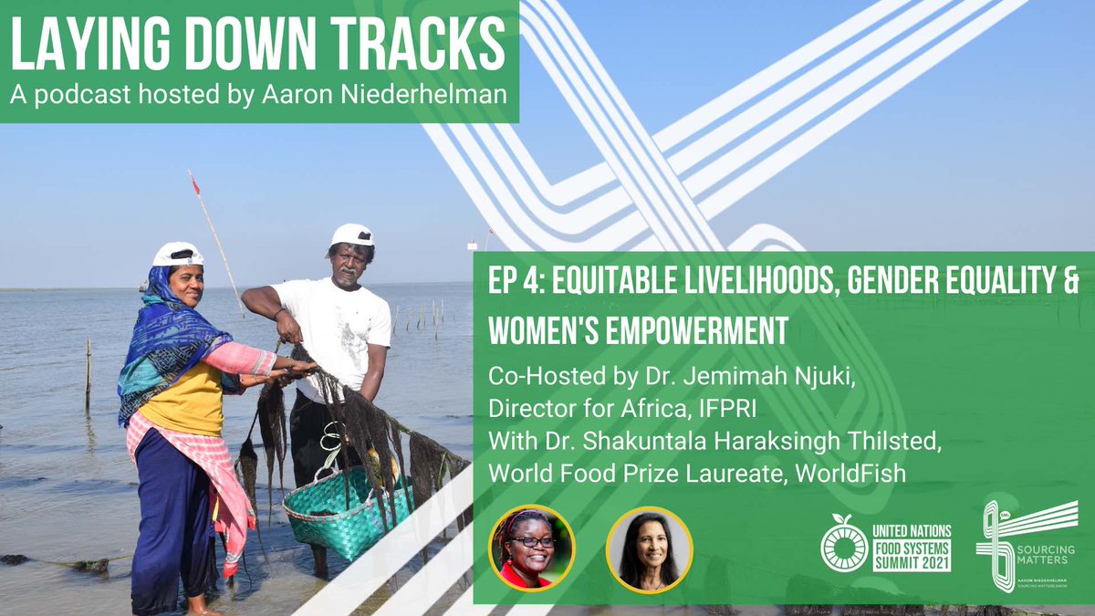 #TuneIn to talk show series 'Laying Down Tracks' Episode 4: Equitable livelihoods, gender equality and aquatic foods ||  Thanks for the shout out <a href="/WorldFishCenter/">WorldFish</a>

Featured guests: <a href="/trinidad1949/">Shakuntala Haraksingh Thilsted</a> &amp; <a href="/jemimah_njuki/">Dr Jemimah Njuki</a> 
worldfishcenter.org/features/layin…

host: <a href="/ABNiederhelman/">Aaron B Niederhelman</a> 
<a href="/FoodSystems/">UN Food Systems Coordination Hub</a> #UNFSS