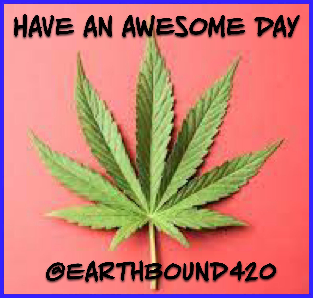 FElonOligarch's tweet image. I'm Earthbound most of my long time friends know my real name! 
I'm here to ask you please don't follow me if your NOT into making America a better place! DON'T follow if your into bitcoin, crypto, company selling anything I'm not into/ read bio, and especially if your maga.