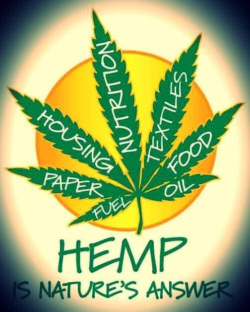 FElonOligarch's tweet image. I'm Earthbound most of my long time friends know my real name! 
I'm here to ask you please don't follow me if your NOT into making America a better place! DON'T follow if your into bitcoin, crypto, company selling anything I'm not into/ read bio, and especially if your maga.