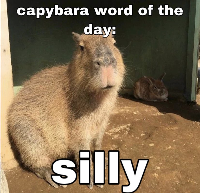 capywrdoftheday's tweet photo. day 51: silly // what a goofball // #capybarawordoftheday #Capybara #silly https://t.co/Uqo1FDsDDv