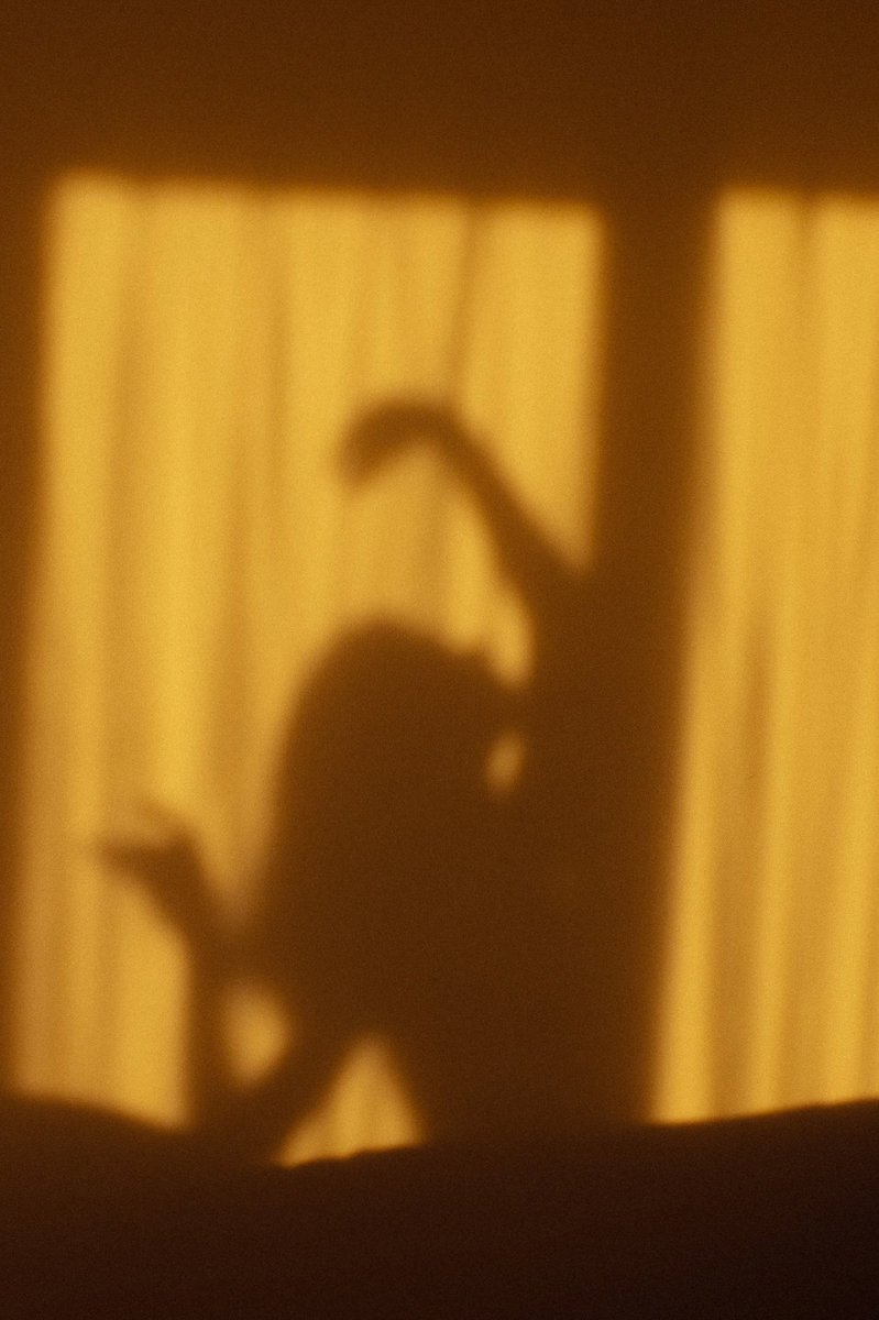 a close up of one of my faves from the Sun Healing collection✨✨

foundation.app/collection/sun…

#nftphotography #WomenInNFTs