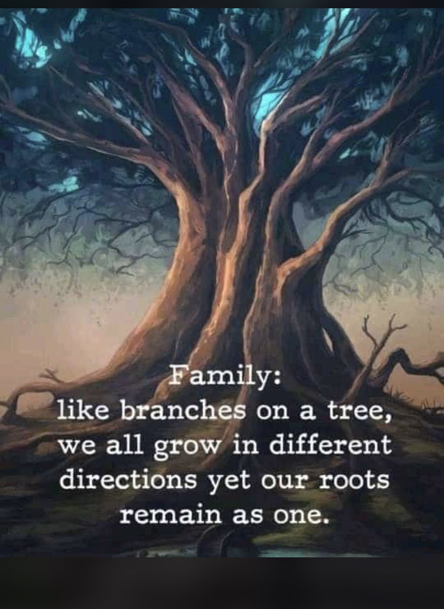 PHUMLANIBUTHELE's tweet image. 