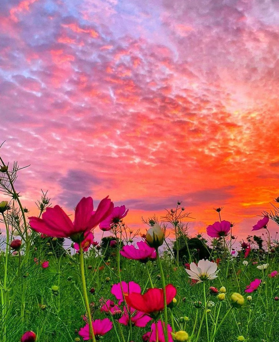 #mete💙💙

Hayatta hiçbir şey göründüğü gibi değildir ;
Güneşin ardındaki hikayede gece ,
Baharın ardındaki hikayede kış gizlidir..

Murat Bozoğlu

#GünAydın🌹☕🍃🌼💜💜