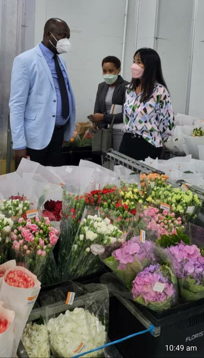 KagodoMoses's tweet photo. I have together with Uganda High Commission in Malaysia found market for the Uganda flower industry. https://t.co/D9VreOEYpZ