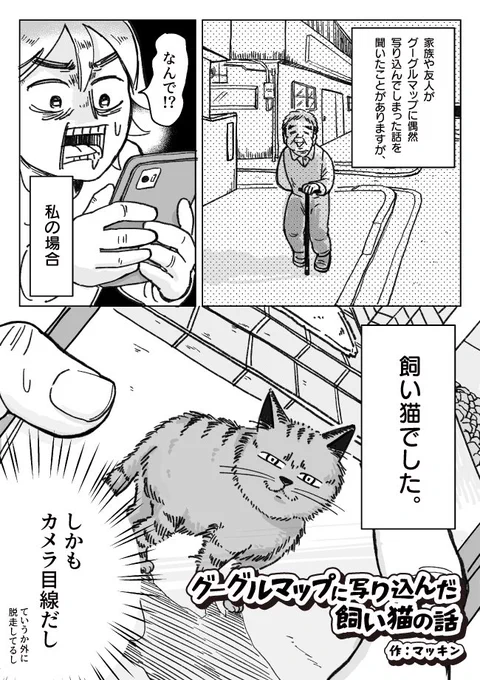 オモコロで漫画を書きました!昔、一緒に暮らしてた大好きな猫の話です。「ほんとにおまえ飼い猫か…?」って疑うぐらいデカいし野生感あふれるオス猫でしたグーグルマップに写り込んだ飼い猫の話 | オモコロ マップで自分ちの猫見つけた時はほんと変な声…出たょ…… 