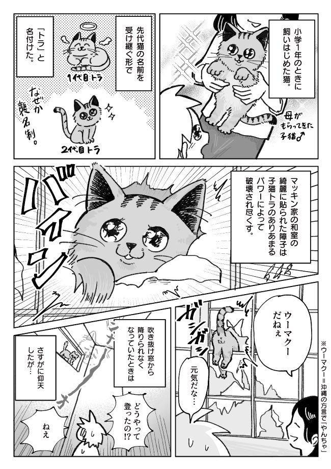 オモコロで漫画を書きました!
昔、一緒に暮らしてた大好きな猫の話です。「ほんとにおまえ飼い猫か…?」って疑うぐらいデカいし野生感あふれるオス猫でした🐈

グーグルマップに写り込んだ飼い猫の話 | オモコロ https://t.co/huJ3Ygt2TA

マップで自分ちの猫見つけた時はほんと変な声…出たょ…… 