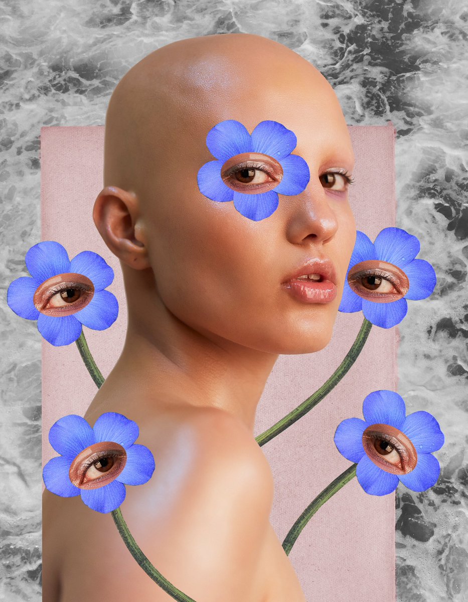 PerchaMagazine tweet media