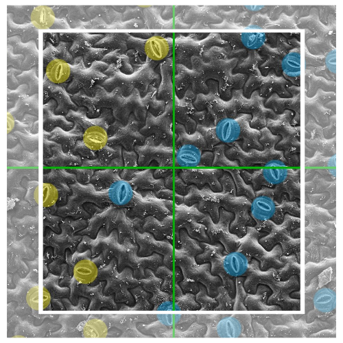 Plant Physiologist tweet media