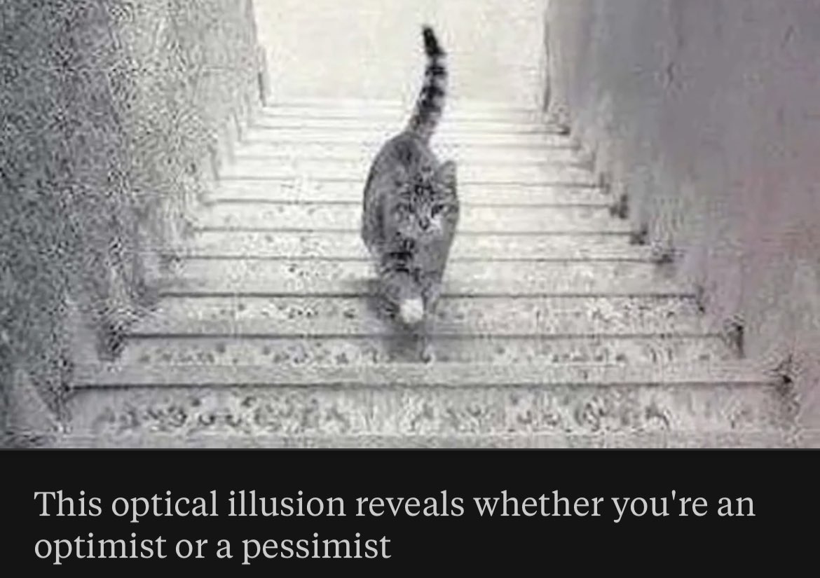 armano's tweet photo. What do you see?

If it’s a cat walking up stairs: you’re an optimist 

If it’s a cat going down stairs: you’re a pessimist 

I got optimist https://t.co/OEaxjJyKHa