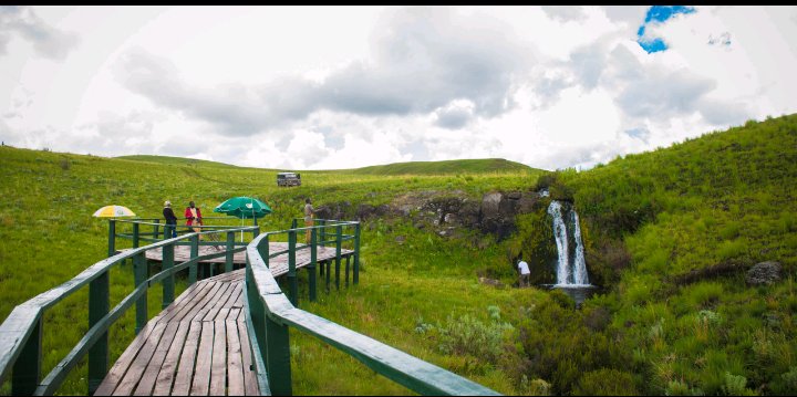BIASHARACONNEC2's tweet photo. #VisitKitulo
#SerengetiOfFlowers
#VisitTanzania https://t.co/89Mllln6oN