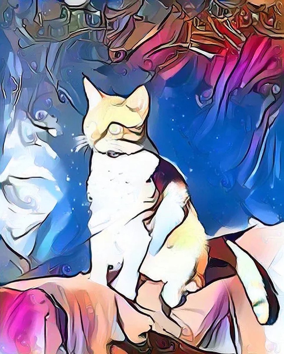 RedheadCatNFTS's tweet photo. Gm Everyone! This is the sneak peak for the new dropping in May on @opensea #nft #NFTCommunity #metaverse https://t.co/DPUvTF7i34