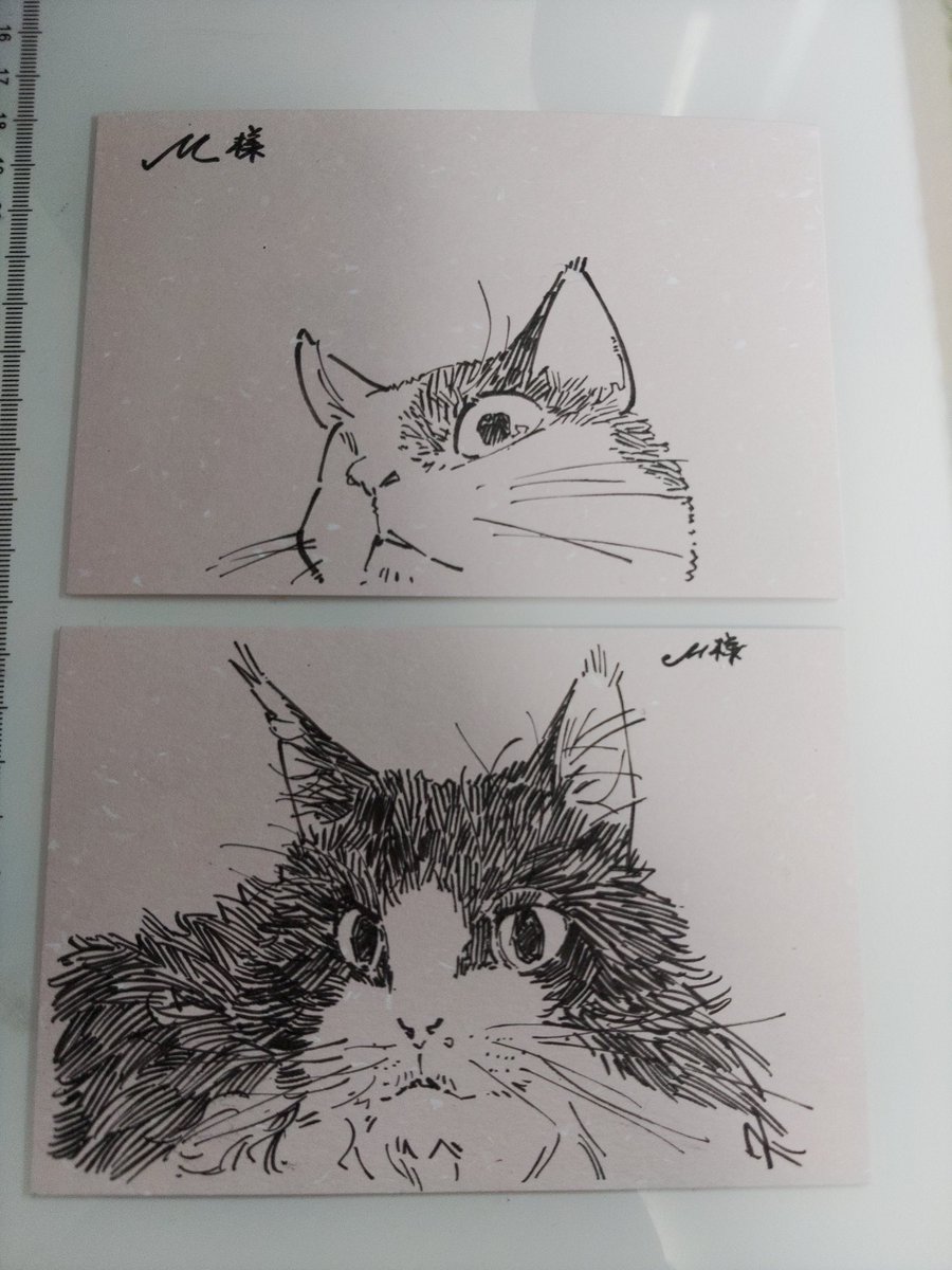 フォロワーさんが上げてくる写真を元にした猫の絵
変な顔だったり、おかしな仕草してた方が描きやすい
あと、デフォルメした方が良さそうだ 