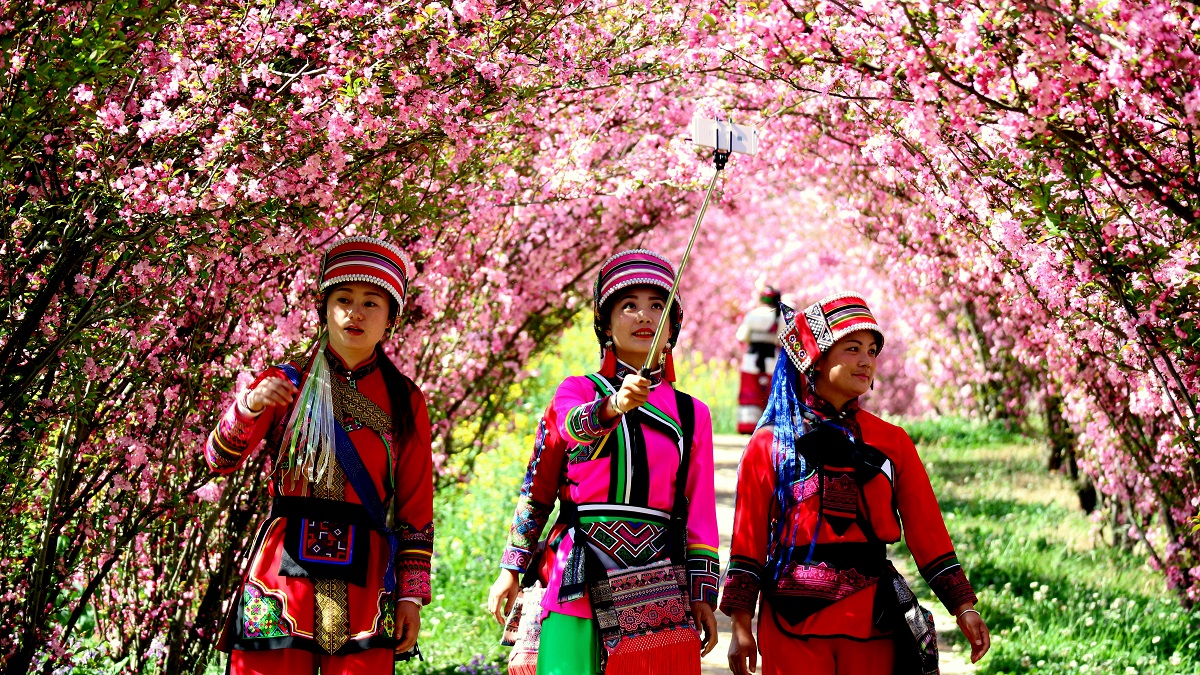 BoundforChina's tweet photo. Bewitching spring colors appear in the #StoneForest of Yunnan province! 🤩🤩Golden rapeseed flowers and pink crabapple flowers are in full bloom. 🌺Do you love spring flowers? Come on down to the Stone Forest.🤗 https://t.co/wAmSxx96sY
