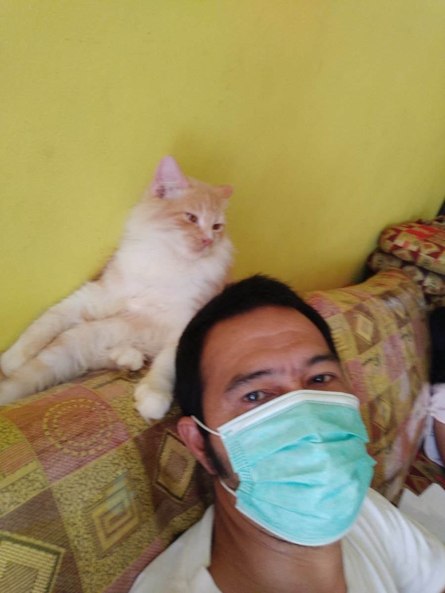 Dican78's tweet photo. Ikutan nyantai si meong 😁 https://t.co/0TqFtujFjp