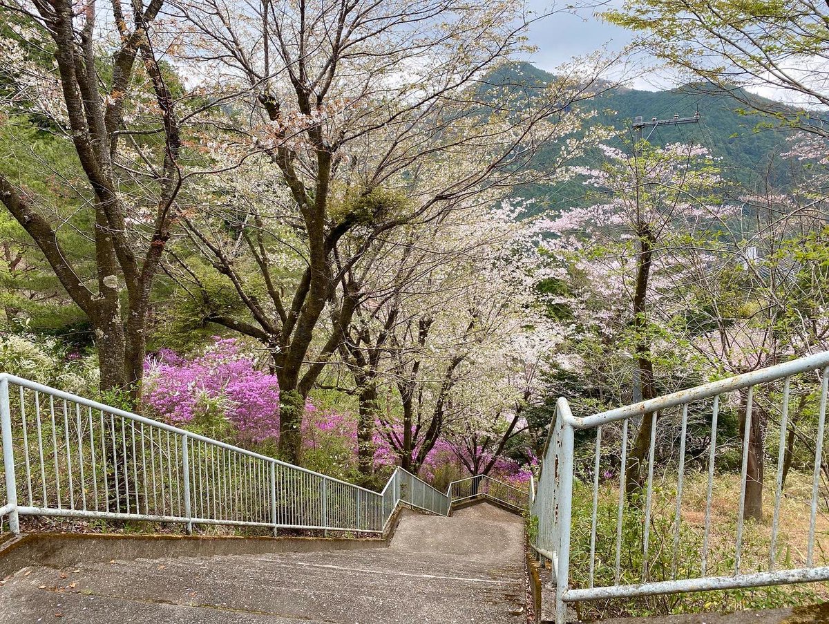 mountscape_'s tweet image. こちらは東京奥多摩のカヌー工房です。
現在廃校となった旧古里中学校の美術室を工房として使用しています🏫

工房は、ご見学も随時受付中です。
春は桜や山ツツジが咲き、工房までの道のりがとっても綺麗ですよ〜。
ぜひお気軽にご連絡くださいね🌸

#mountscape #カヌーのある生活
#奥多摩 #カヌー