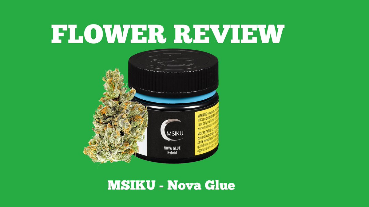 New Flower Review for <a href="/msikuofficial/">@MSIKUofficial</a> - Nova Glue. "The freshness is superb - 4 buds total, all with beautiful foxtailing with a lot of trichome density. " Available in Oz in #Brampton  and #Guelph 
Check out our thoughts here: bit.ly/3q8nXrW

#OCS #CannabisLegale