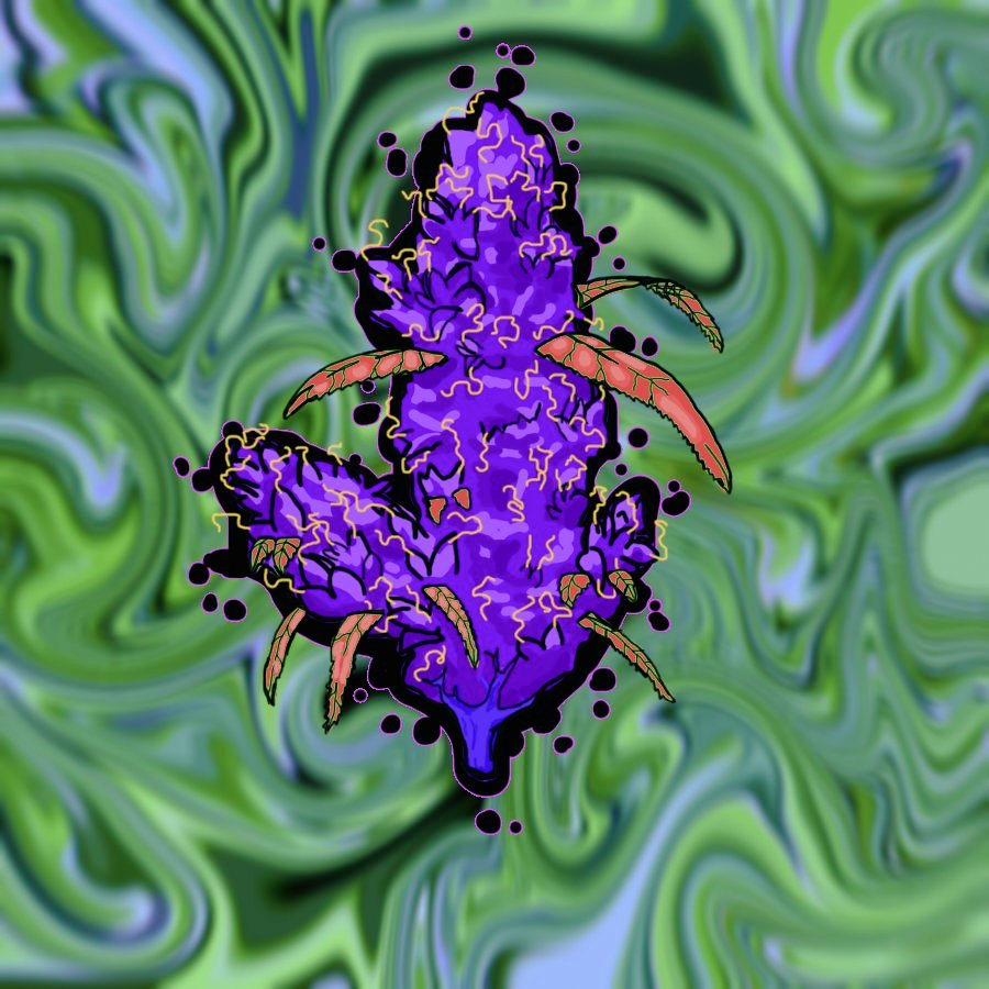 🍄Your👽Happy🚀High👾Xp🛸 tweet media