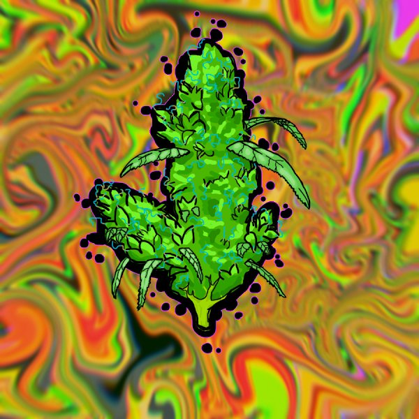 🍄Your👽Happy🚀High👾Xp🛸 tweet media