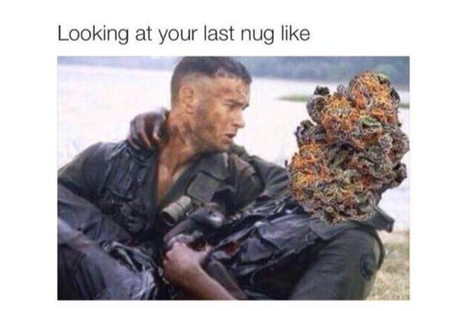 #stoner https://t.co/ucwwrGLks5<a href="/tag/stoner"class="tags">#stoner</a>