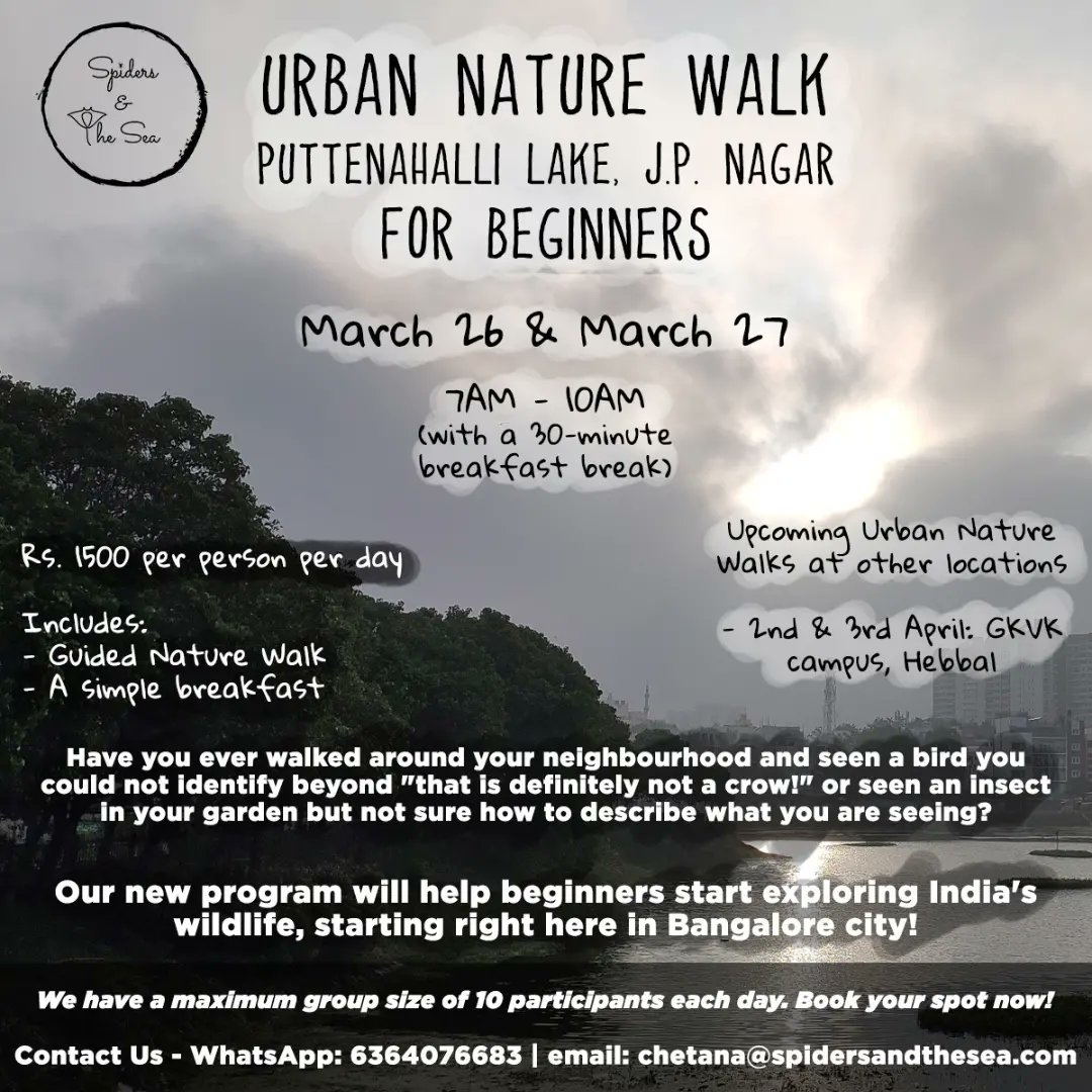 SpidersATSea's tweet photo. Folks! After a wonderful weekend exploring Lal Bagh, we are all set for our next set of walks. 
Tucked away in South Bengaluru, Puttenahalli Lake is a small yet thriving lake ecosystem that was brought back from the brink less than a decade ago by the @pnlit.blr+ https://t.co/iB7l9dEgJd