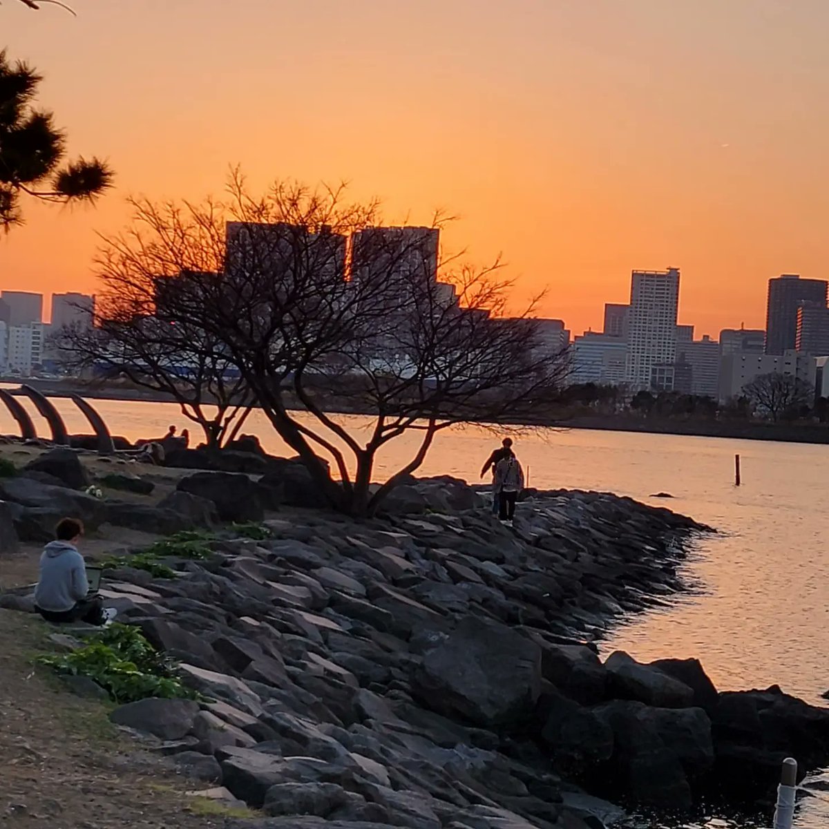 KansaiKaiser's tweet photo. First night out in Tokyo had to check out history's most loyal dog + Tokyo Bay! https://t.co/o00PS5xU1h