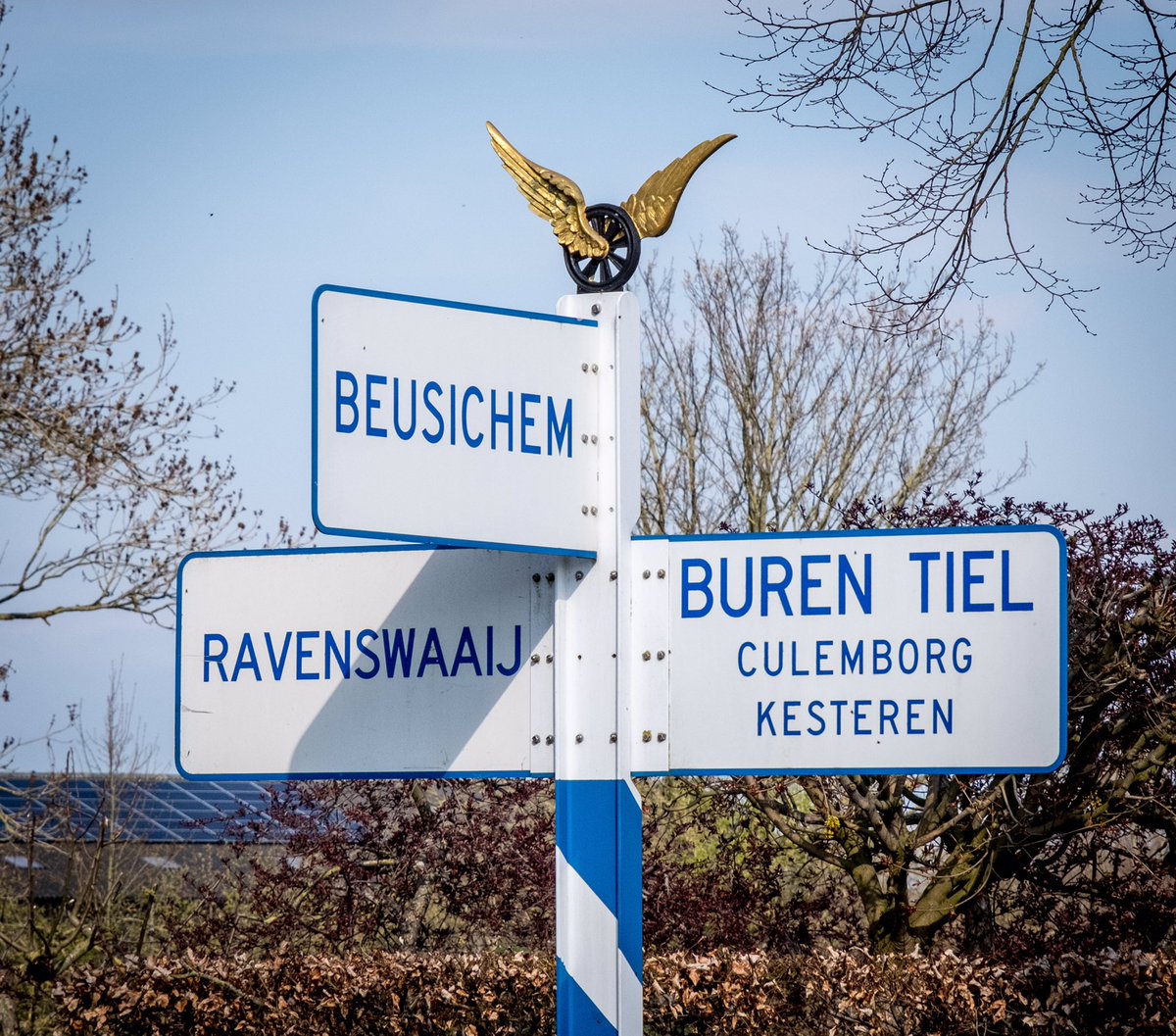 D66Buren tweet media