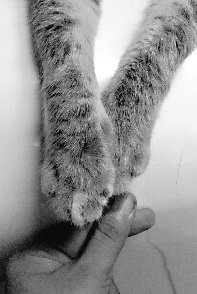 ochancan95's tweet photo. Lagi merasa dingin,, butuh Namjoon pake sweeter hangat ajah gitu liatnya.#NAMJOON https://t.co/Tm0ok1YvJx