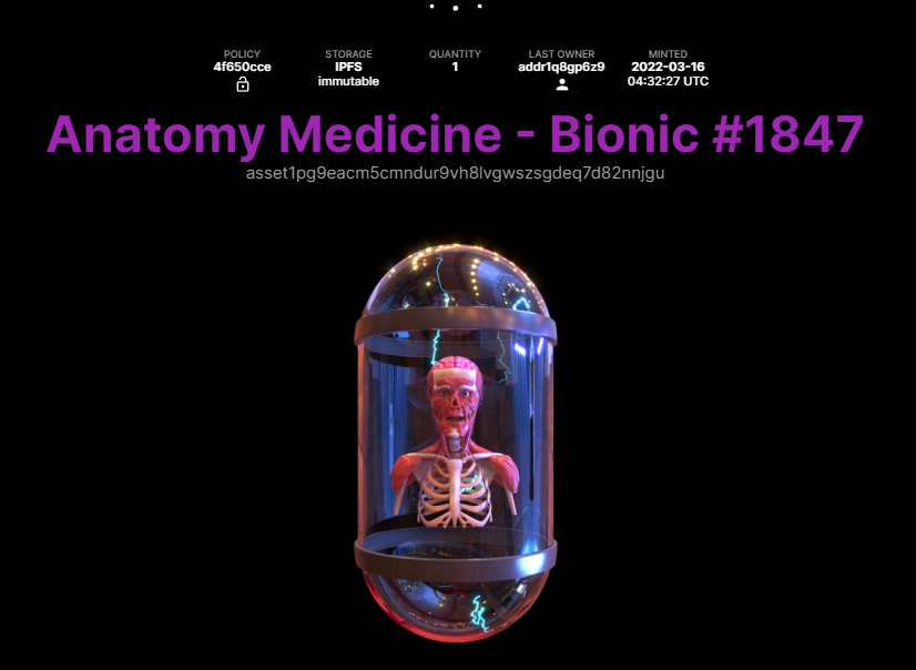 CodingDevotion's tweet photo. Airdrop completed! Enjoy! @Anatomy_NFT
#Cyberpickle #NFT #NFTCommunity https://t.co/MYRmHuYTPg