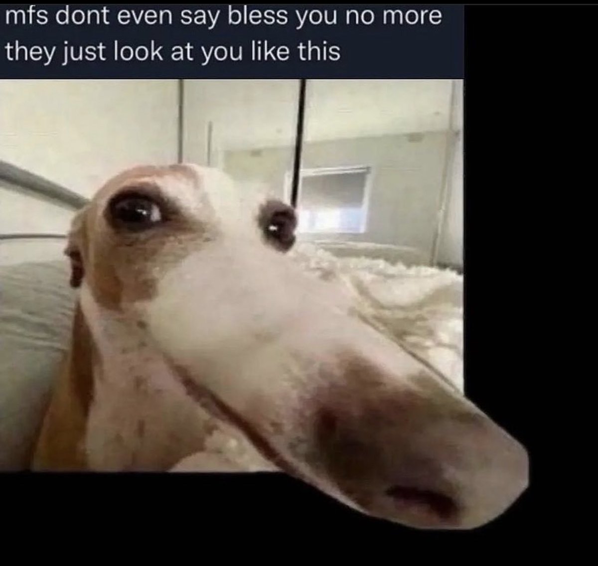 STEVE_E_GEEE 💭 (@steve_e_geee) on Twitter photo 