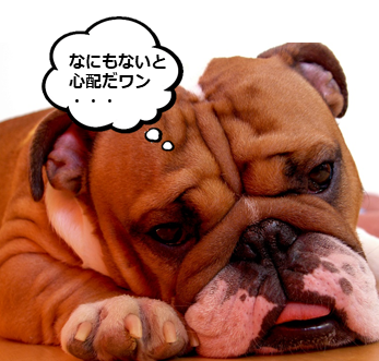 ワンポイントアドバイス 冬はこまめな肉球ケアを ワンポイントアドバイス ペットの資格