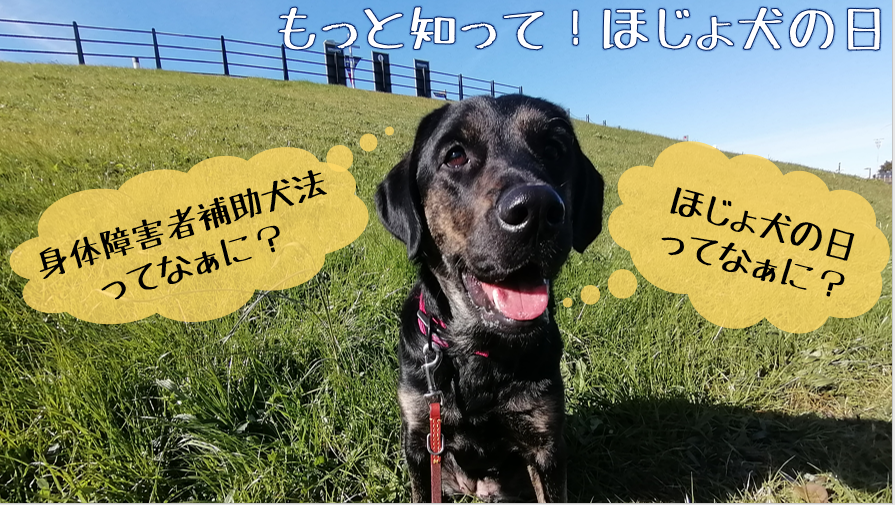 社福 日本介助犬協会 Jsda Servicedog Twitter