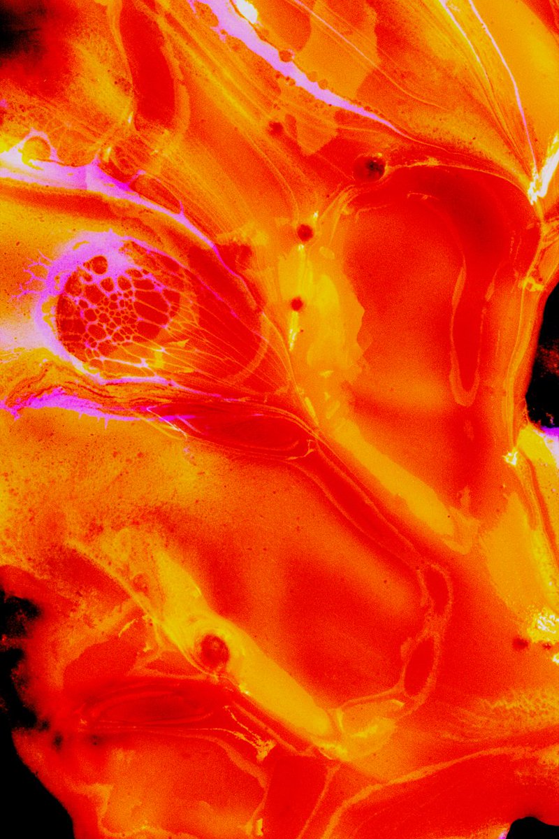 Les_Roberts_'s tweet photo. Let the intricacies of this print permeate your soul. 
#wonder #anticipation #calmness #benevolence #reflection #astonishment #awe #excitement #interest #relief #satisfaction #buoyant #able
View at https://t.co/fzS3mO06jm https://t.co/jHGVyvvV45