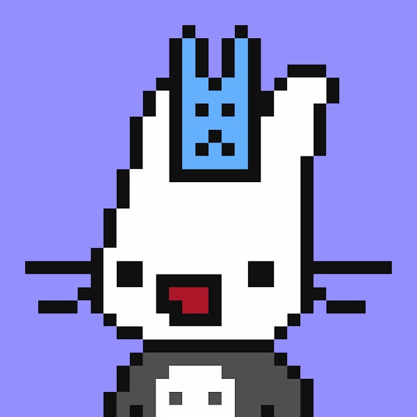 RareBunniClub tweet media